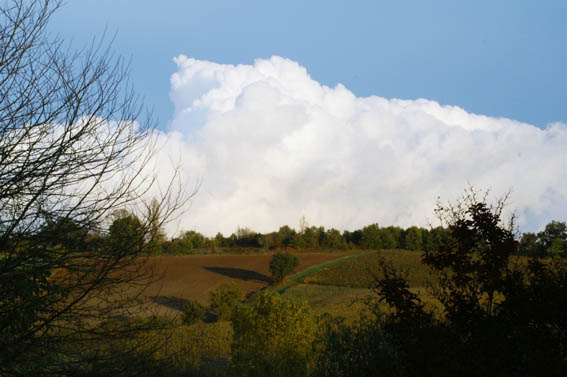 Les sources de la boÃ«me