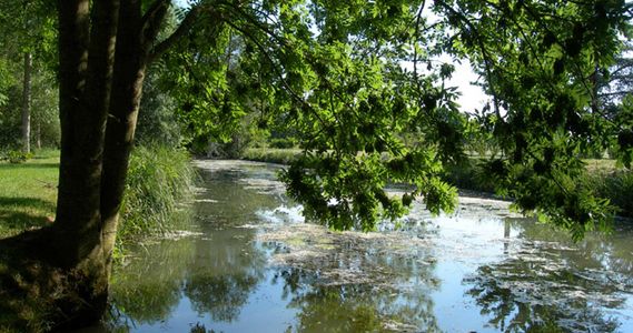 Le Moulin de Vrin