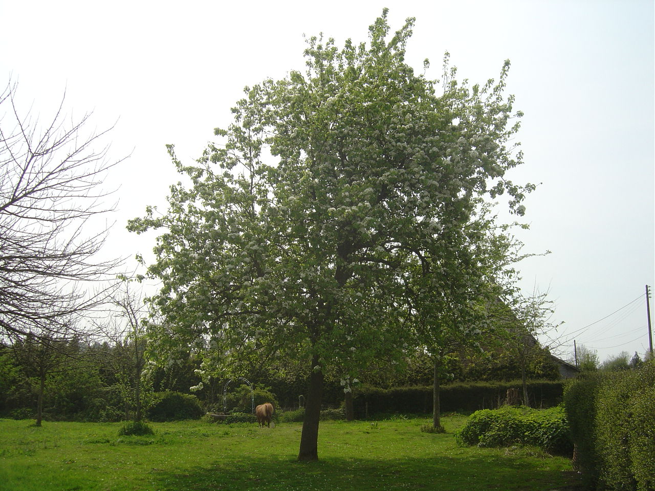 9 La Beauficerie B&B