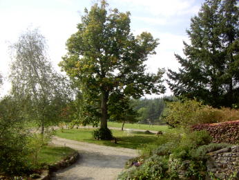 Chambres d'hÃ´tes de BEL-AIR