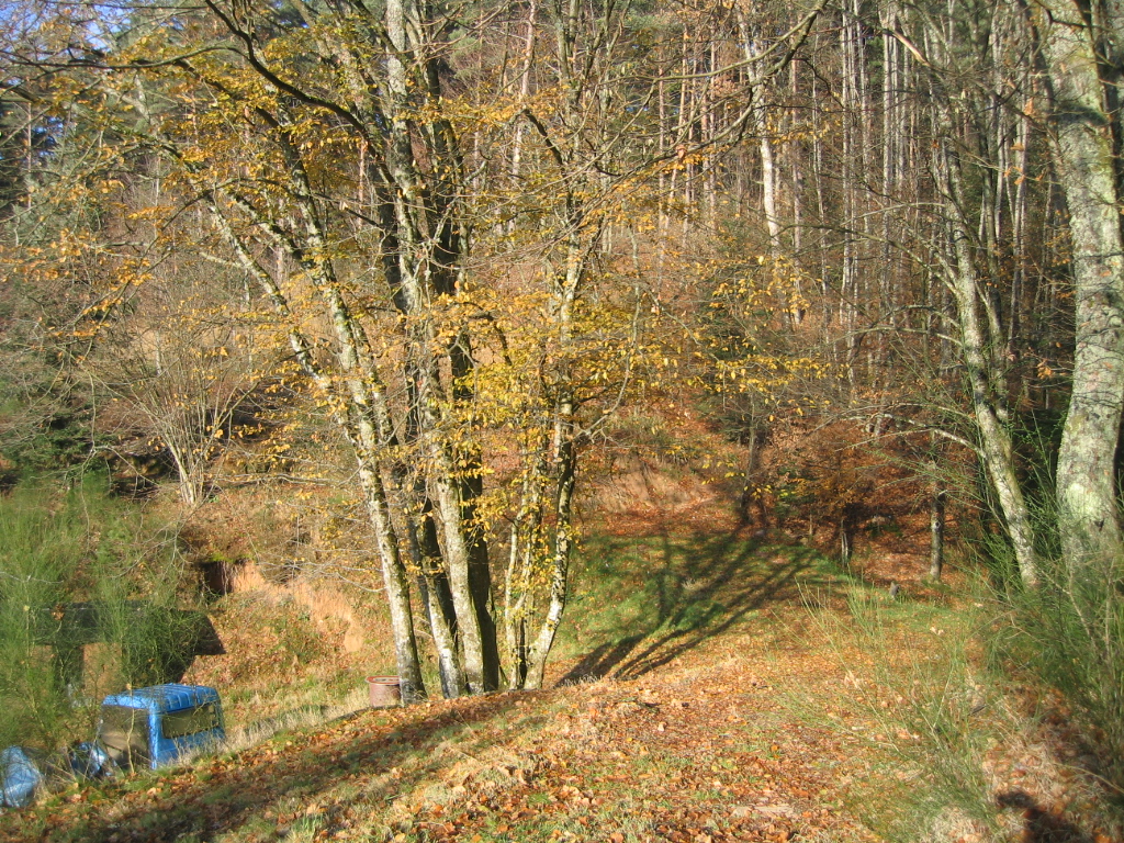 Chambres d'hÃ´tes les Rapailles