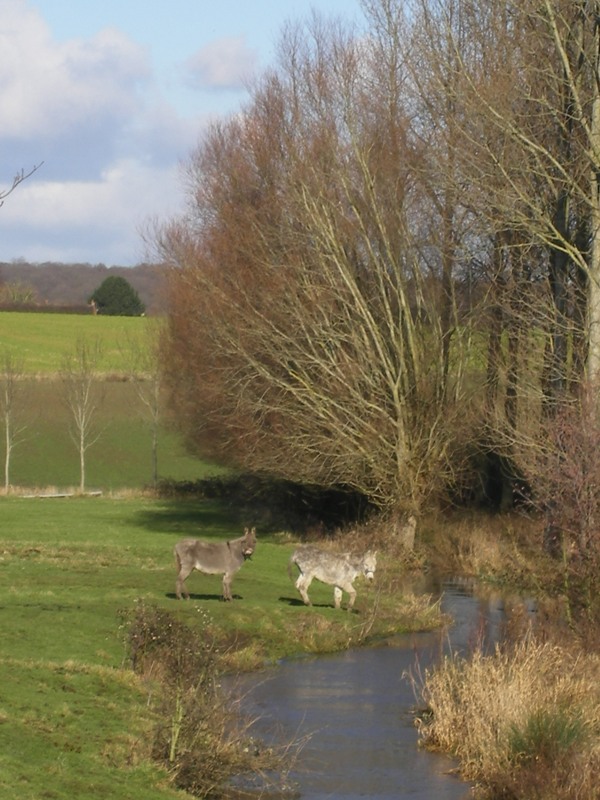 AUX FEUILLANTINES MARAIS AUDOMAROIS 