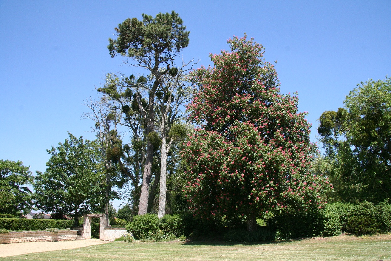 Chateau de Bournand